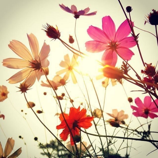 上海闻铭驾校|闻铭驾校报名价格|闻铭驾校怎么